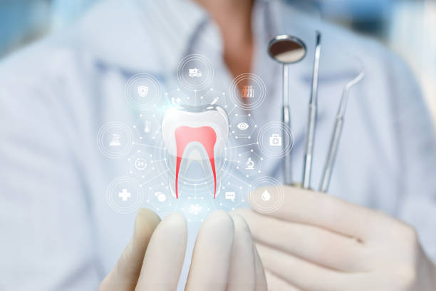 Professional  Holistic Dental Services in Stowell, TX